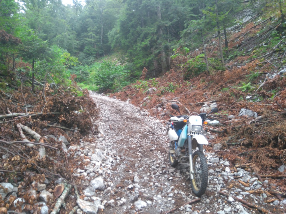 Das ist im nördlichen Velebit Gebirge, südlich von Lic. Die osm Karte hat mich da rauf geschickt, aber nachdem es anfing zu regnen, bin ich wieder runter