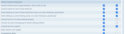 03 Pers Ber Erwähnung.png