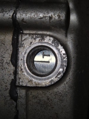 1000077530.jpg